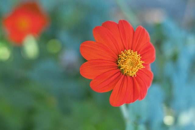 使得这场赛 使得这场赛