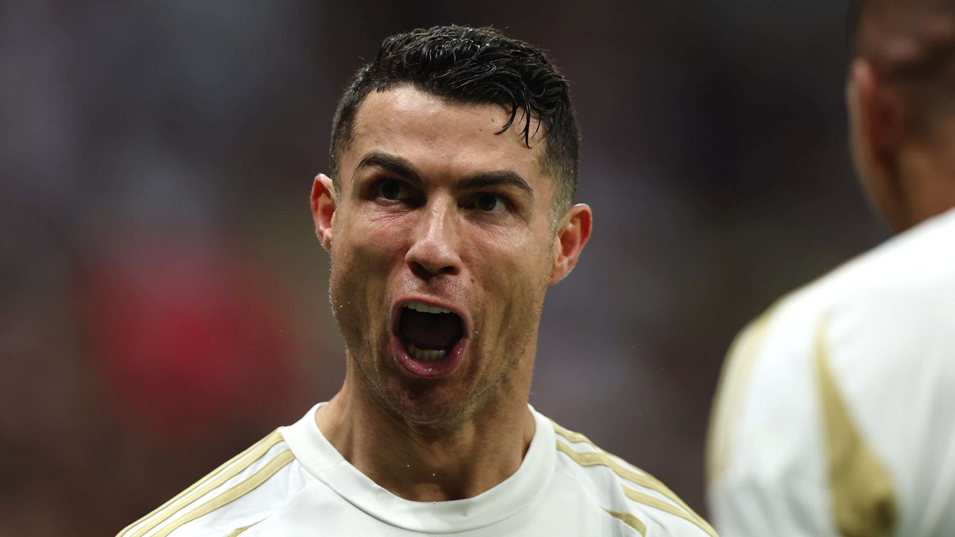 旨在为读者 旨在为读者