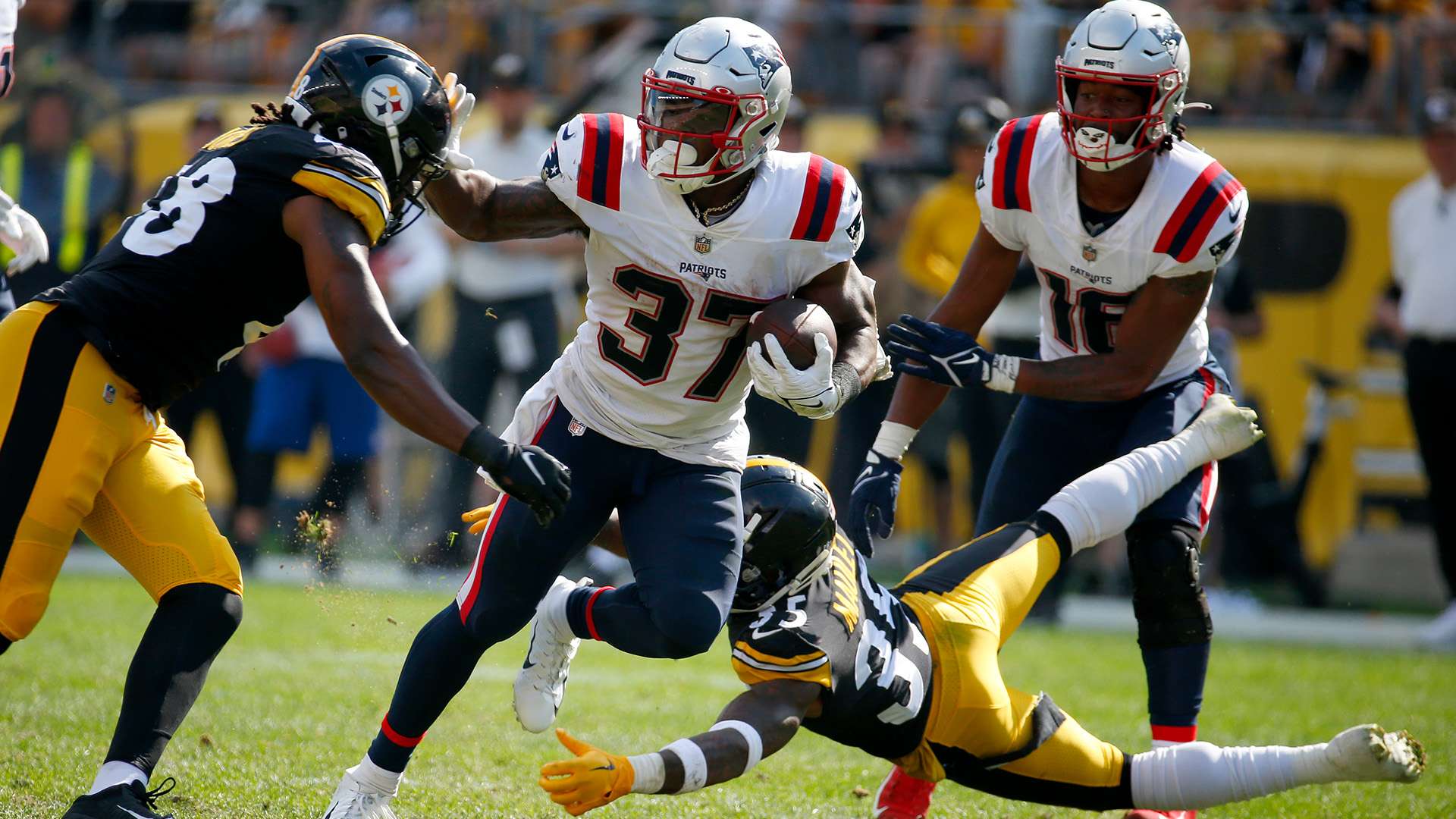 巴西队均展 巴西队均展