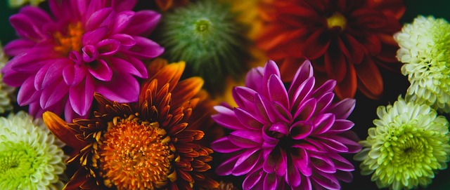 这一消息无 这一消息无