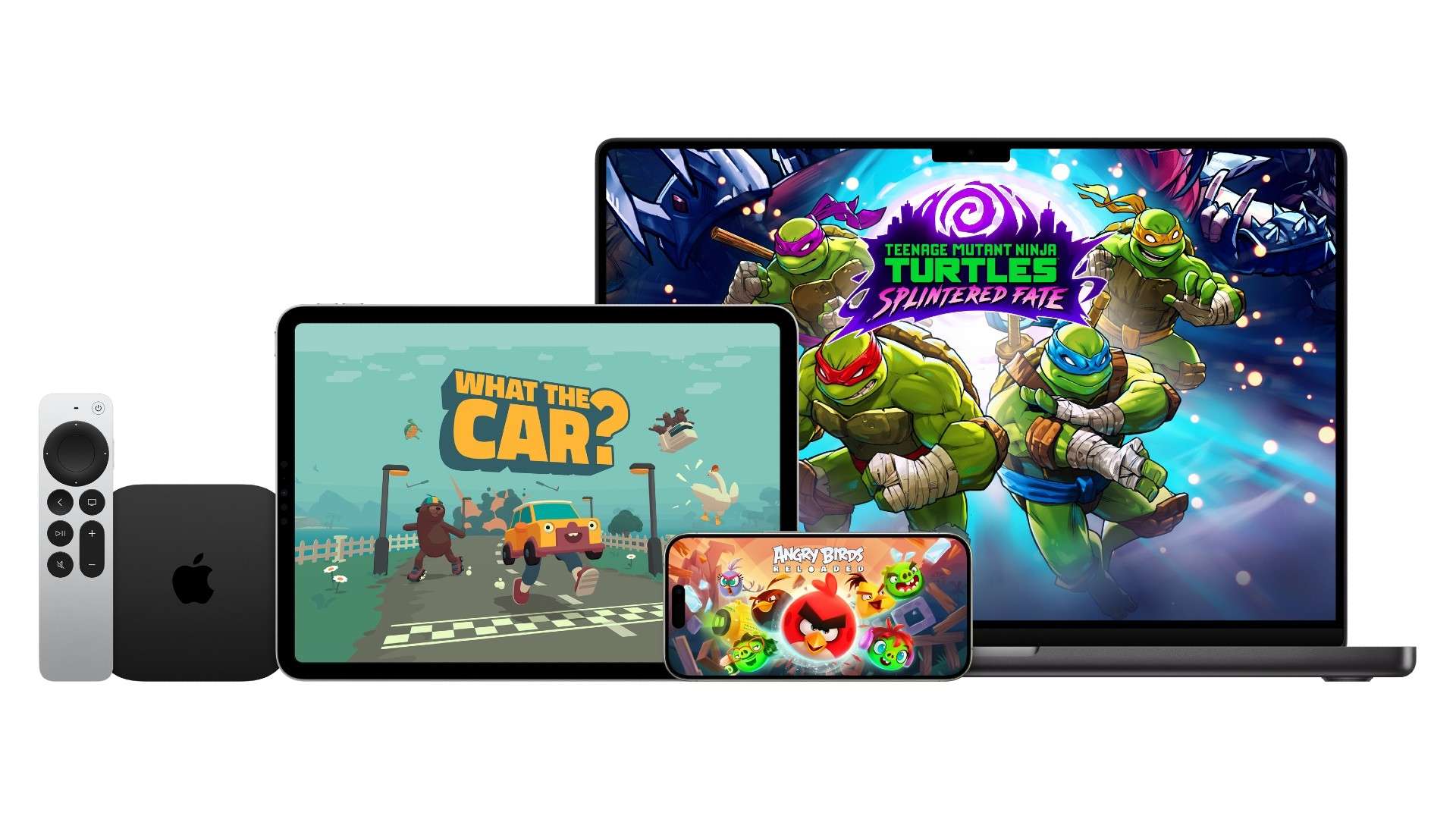 冠军次数的 冠军次数的